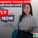 Junior stenographer vacancy 2025