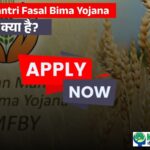 Pradhan Mantri Ujjwala Yojana (PMUY) 2025 – Get Free LPG Gas Connection Easily